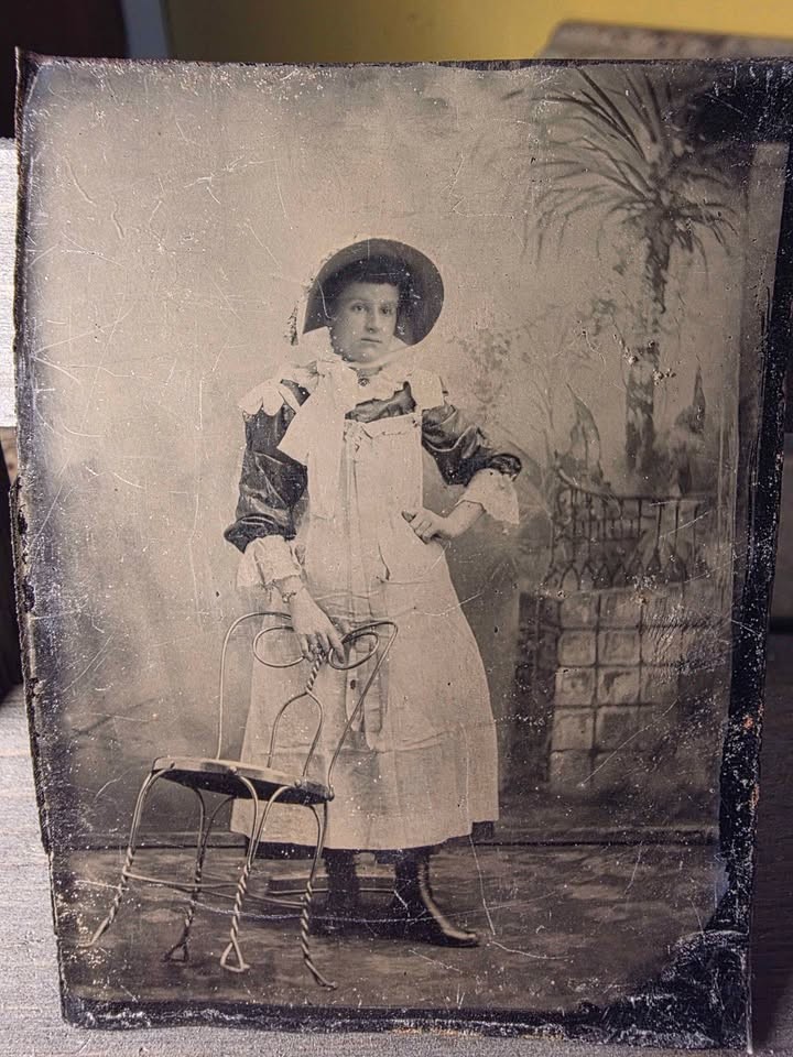 Antique Victorian Tintype Woman Bonnet Palm Tree Backdrop Wire Chair 1880s Antique Victorian Tintype Woman Bonnet Palm Tree Backdrop Wire Chair 1880s
