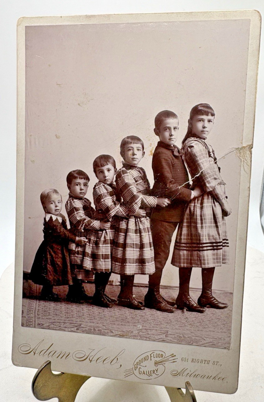 Antique 1880s Photograph Cabinet Card 6x4 Photo Wisconsin Adam Heeb Six Children