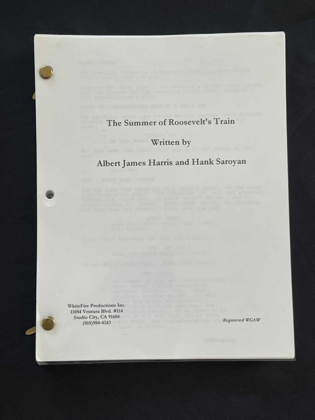 Original Unreleased Hollywood Film Screenplay \ Original Unreleased Hollywood Film Screenplay \