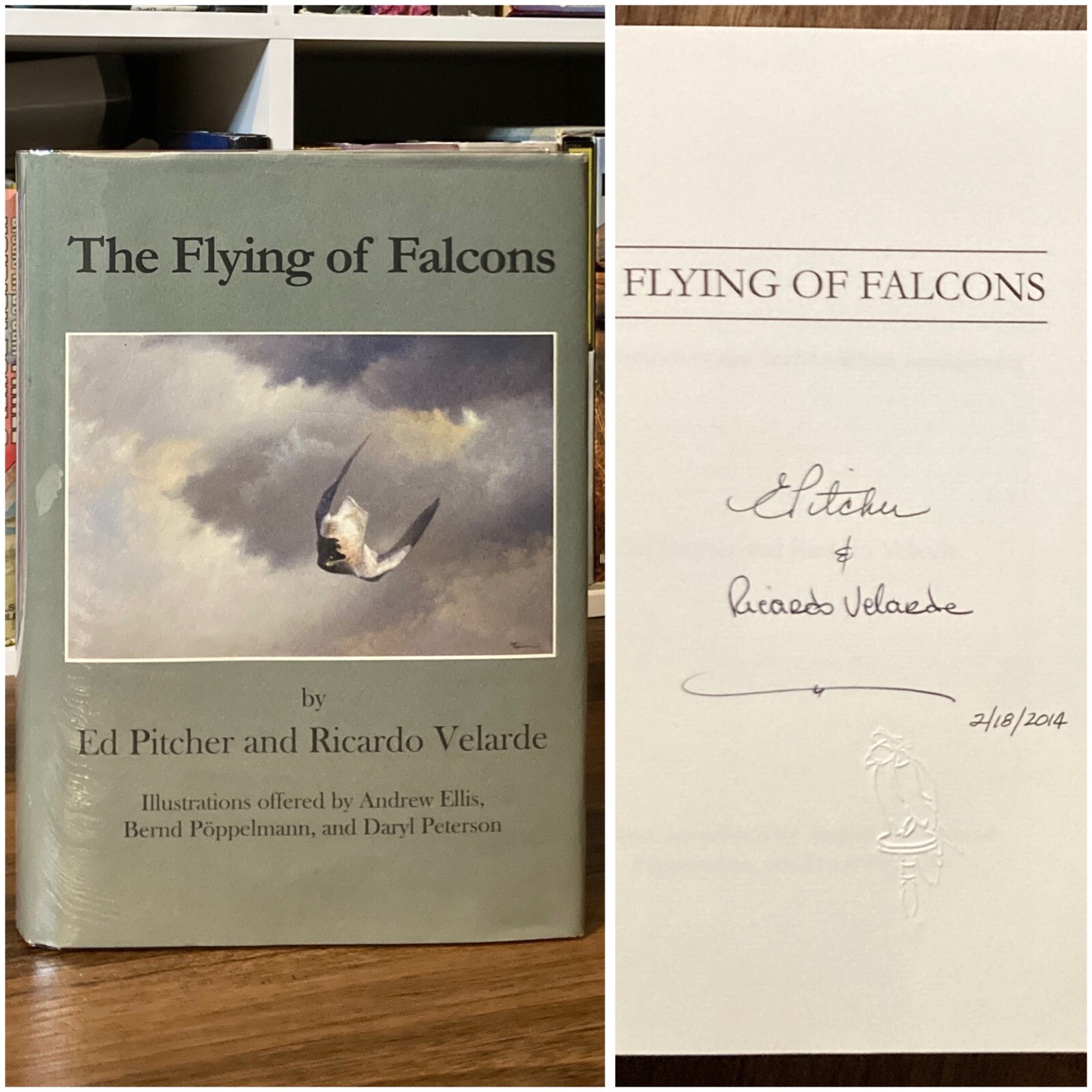 *Signed* The Flying of Falcons - Ed Pitcher & Ricardo Velarde (self-pub, 1991) *Signed* The Flying of Falcons - Ed Pitcher & Ricardo Velarde (self-pub, 1991)