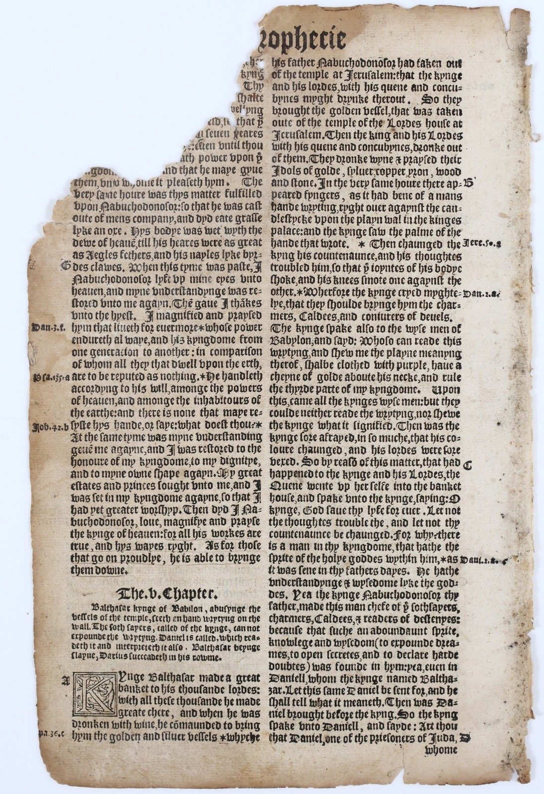 1549 Matthew\'s Bible Leaf Daniel 4-5 Belshazzar\'s Feast John Rogers STC 2077