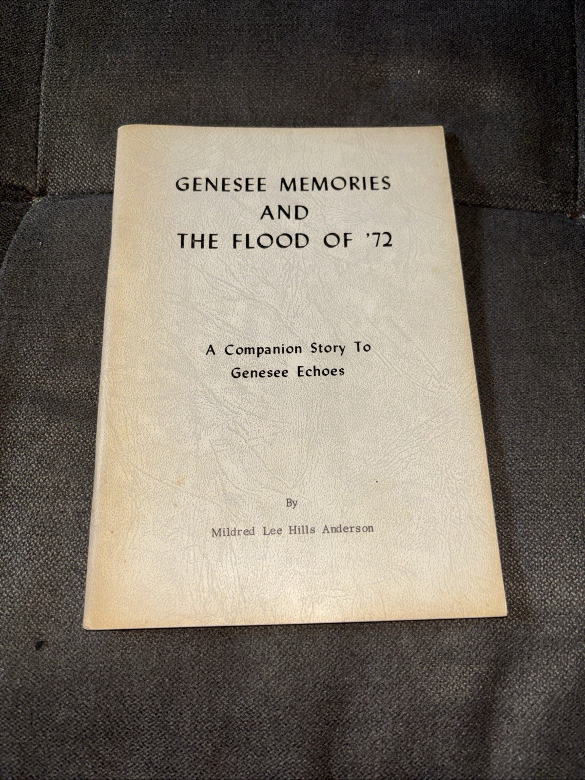 Genesee Memories & The Flood of ‘72 - Castile, NY Area History - Letchworth Genesee Memories & The Flood of ‘72 - Castile, NY Area History - Letchworth