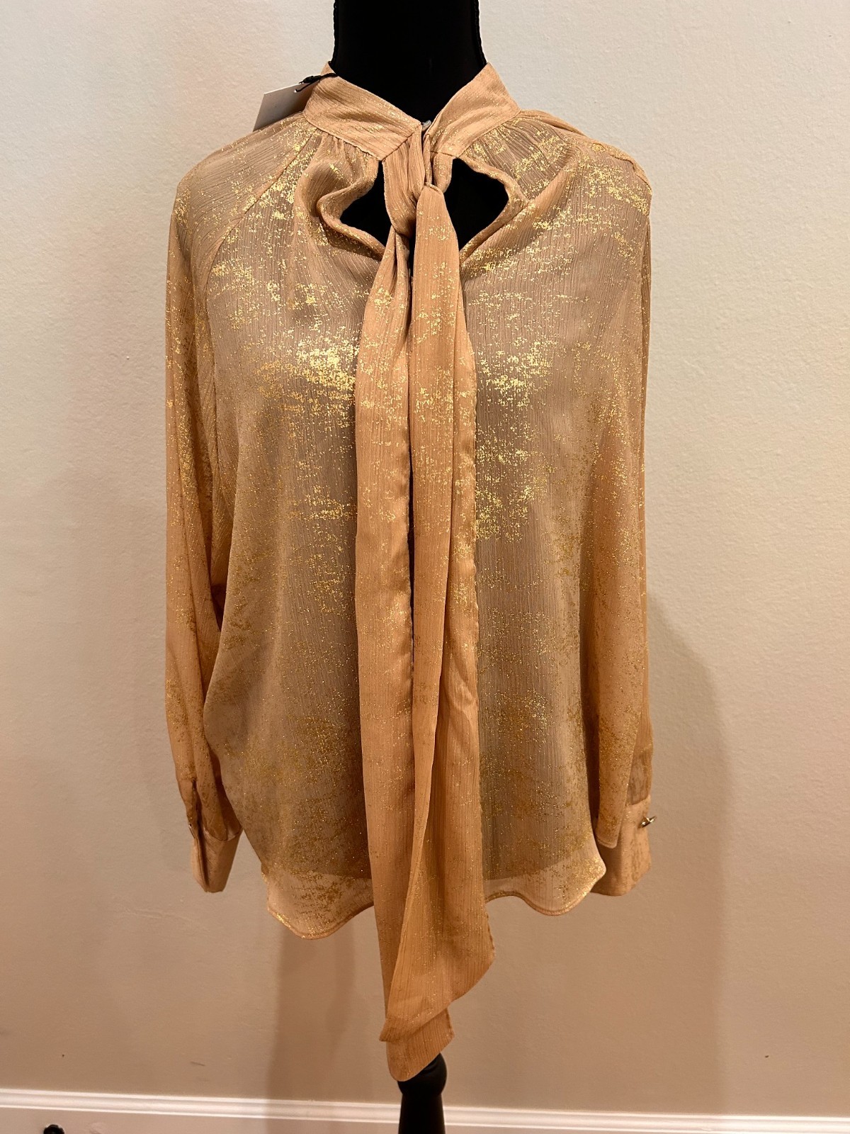 Zara Women’s Metallic Gold Sheer Tie-Neck Blouse Size M NWT