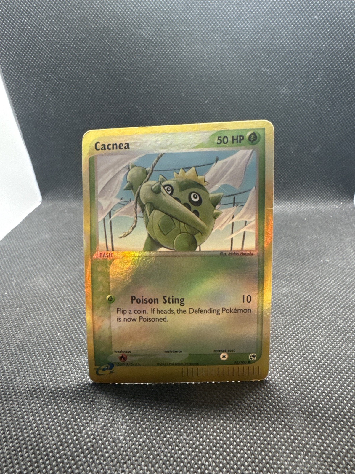 Cacnea 58/100 EX Sandstorm Reverse Holo HP Pokemon TCG