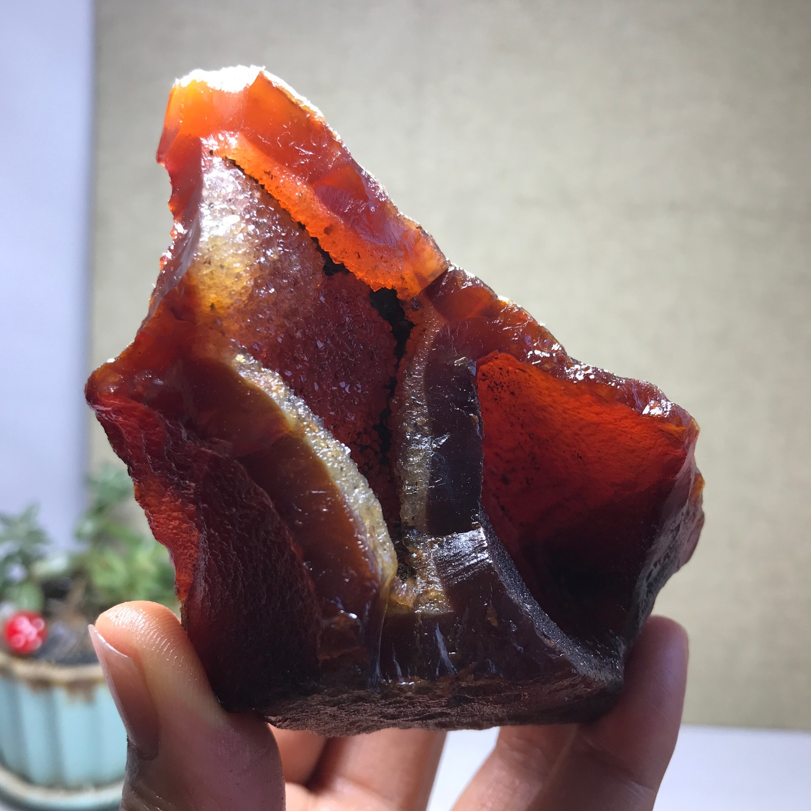 225g natural Bonsai Suiseki Gobi Agate Eyes Stone-Stunning original View A5736