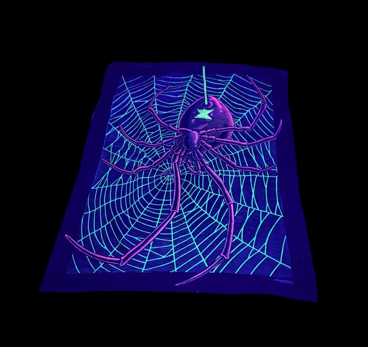 Vintage 1996 Lifestyle Products 22.5”x27.5” Spider on Web Blacklight Tapestry