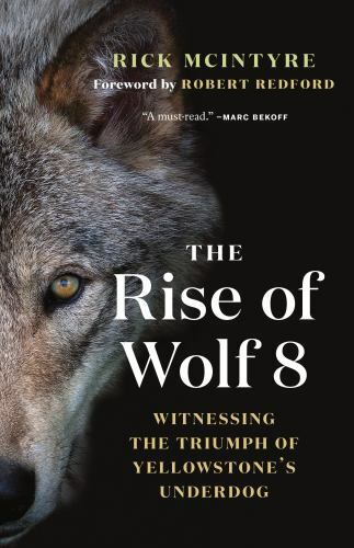 The Rise of Wolf 8: Witnessing the Triumph of Yellowstone\'s Underdog - VERY GOOD The Rise of Wolf 8: Witnessing the Triumph of Yellowstone\'s Underdog - VERY GOOD