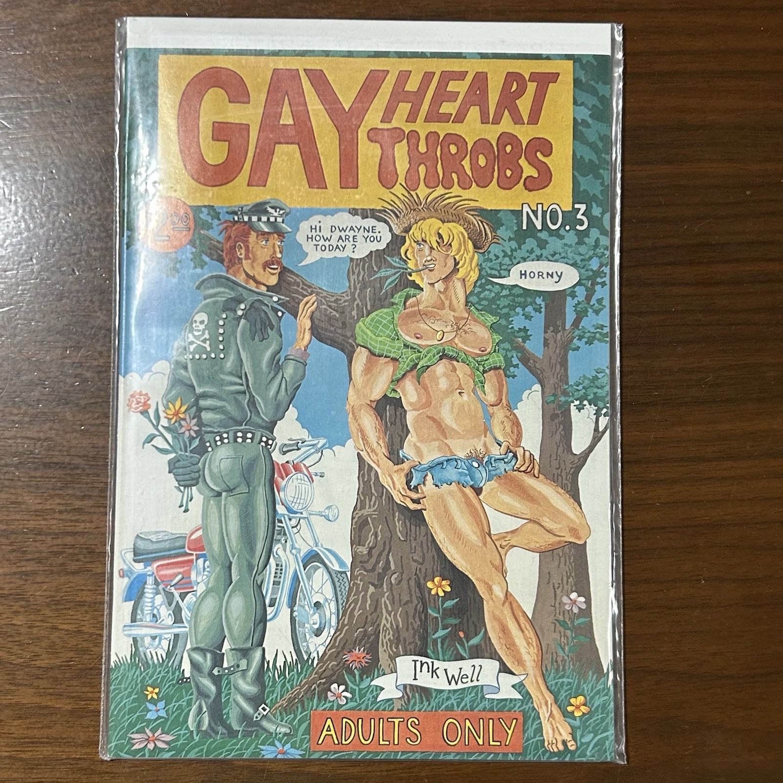 GAY HEART THROBS #3  Summer 1981  Underground Comix INKWELL - NICE HTF