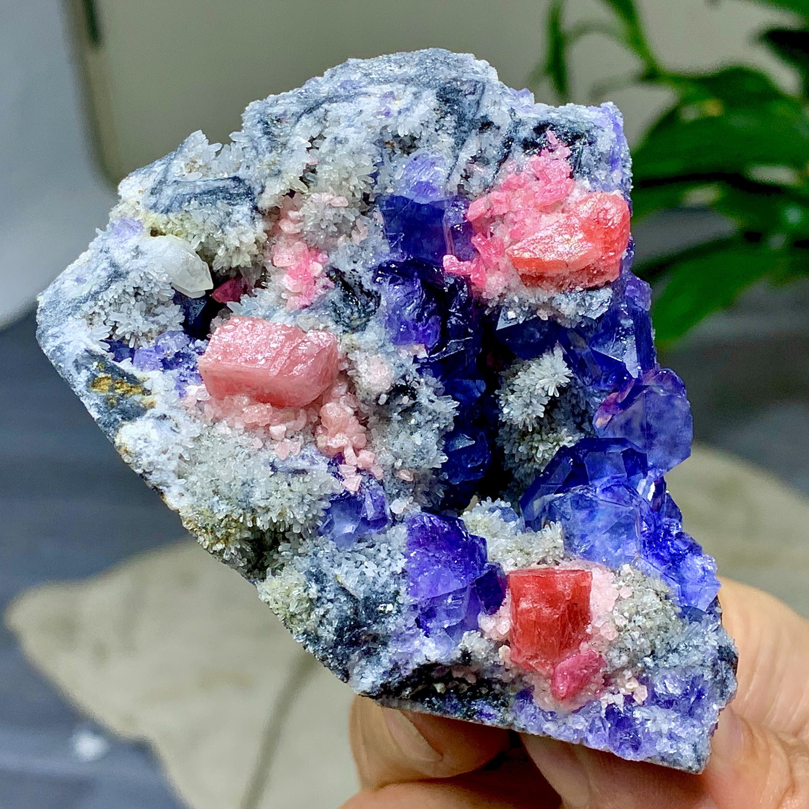 200G Natural rhodochrosite with purple fluorite crystal mineral specimen