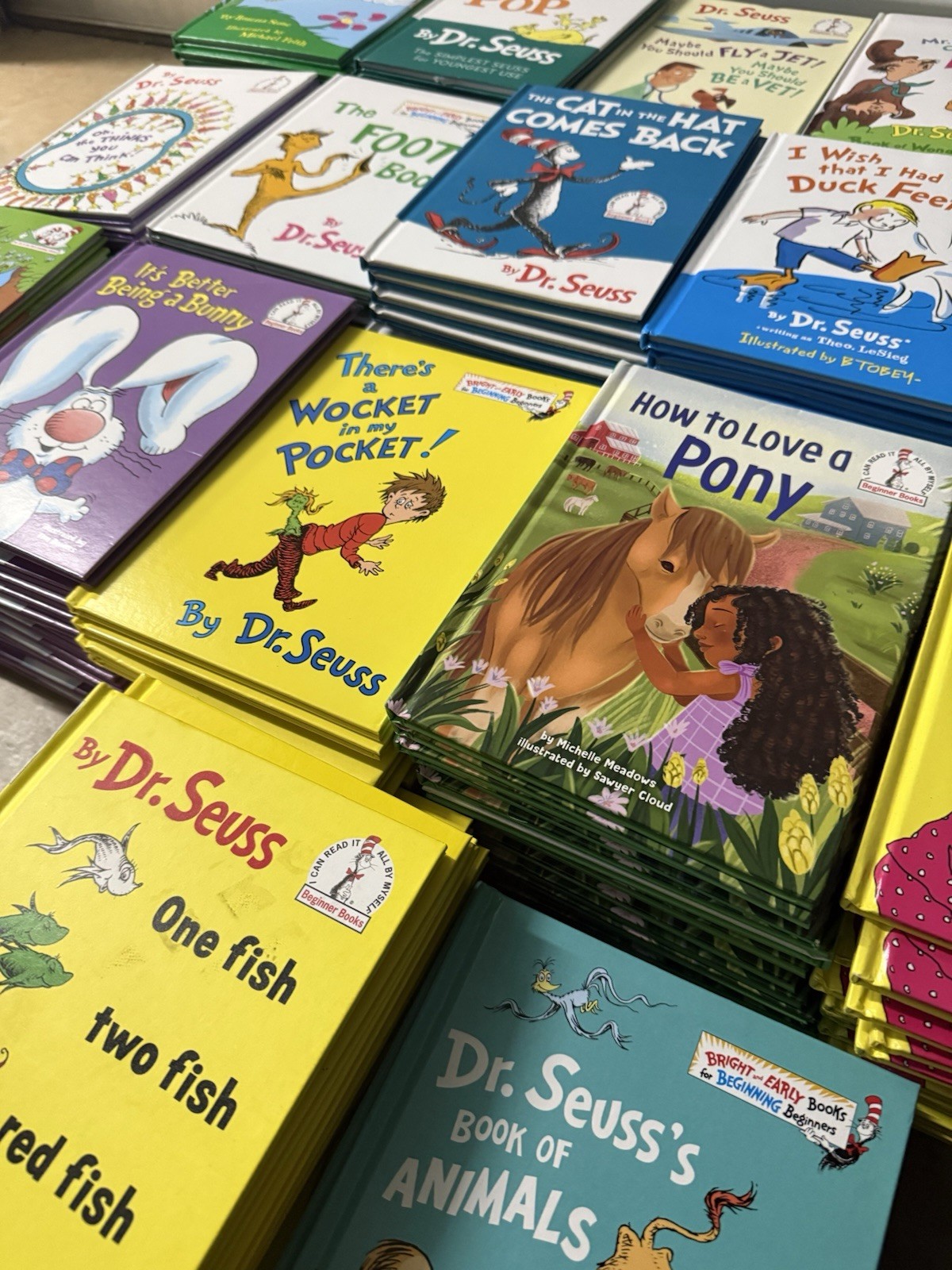 Dr Seuss Lot of 18 Beginner Books All Unique Titles Hardcover Classroom Dr Seuss Lot of 18 Beginner Books All Unique Titles Hardcover Classroom