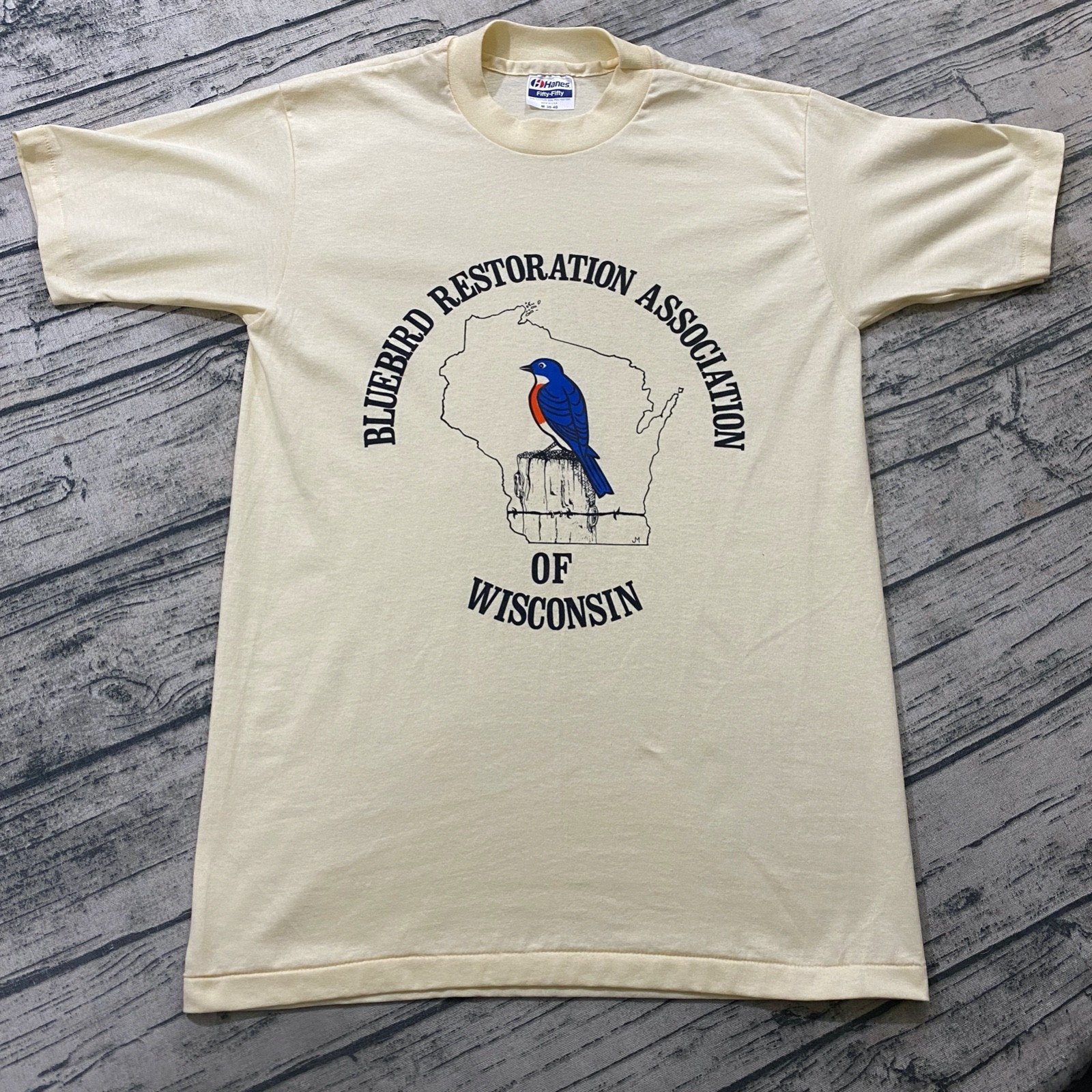 Vtg 80s Hanes Bluebird Restoration Single Stitch Thin T-Shirt Bird Conservation