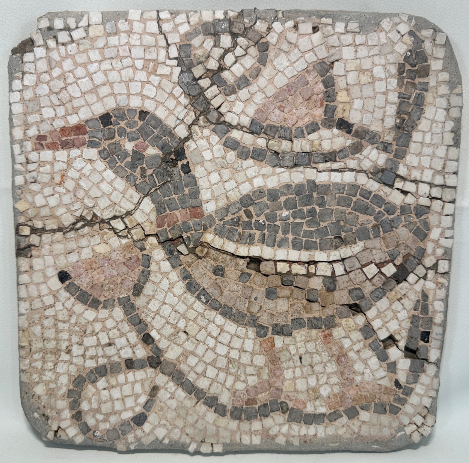 Ancient Greco Roman Mosaic featuring an image of a