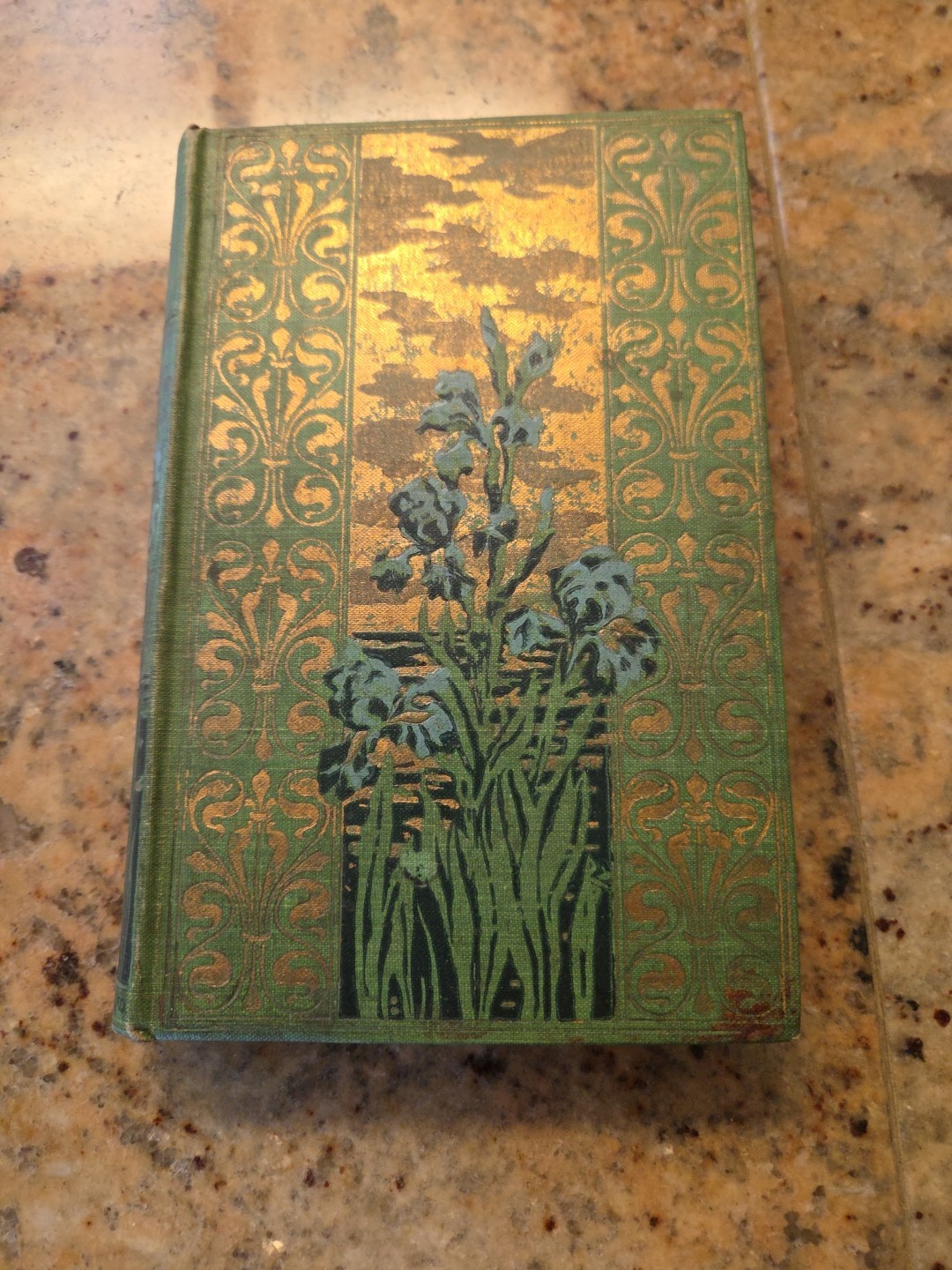 Rare Vintage Samantha at Saratoga by Marietta Holley 1887 HC Rare Vintage Samantha at Saratoga by Marietta Holley 1887 HC