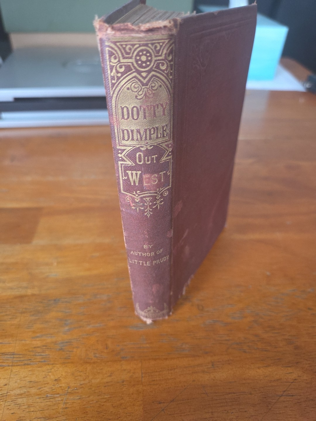 DOTTY DIMPLE OUT WEST BY Sophie MAY VINTAGE BOOK DOTTY DIMPLE OUT WEST BY Sophie MAY VINTAGE BOOK