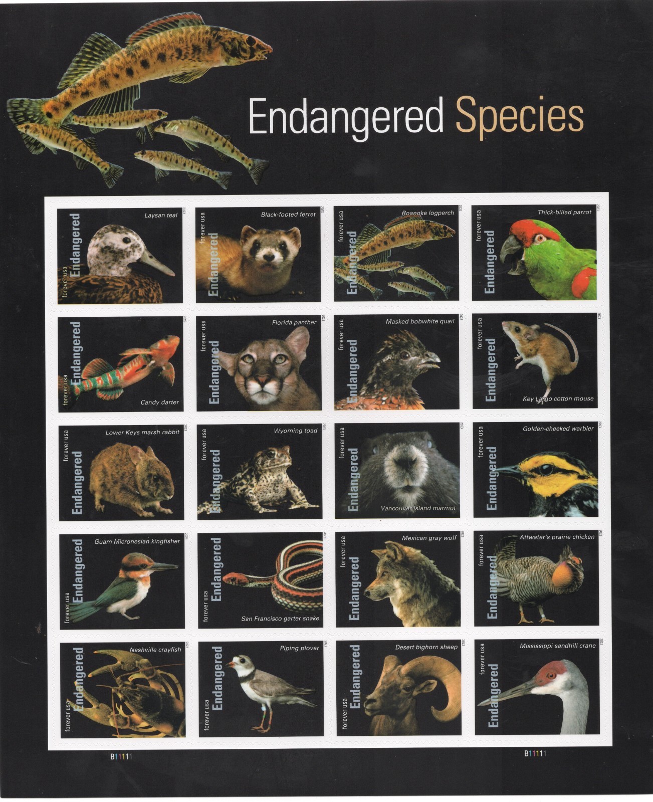 USPS Sheet of 20 Endangered Species Forever Stamps Peel and Stick Sent from OKC