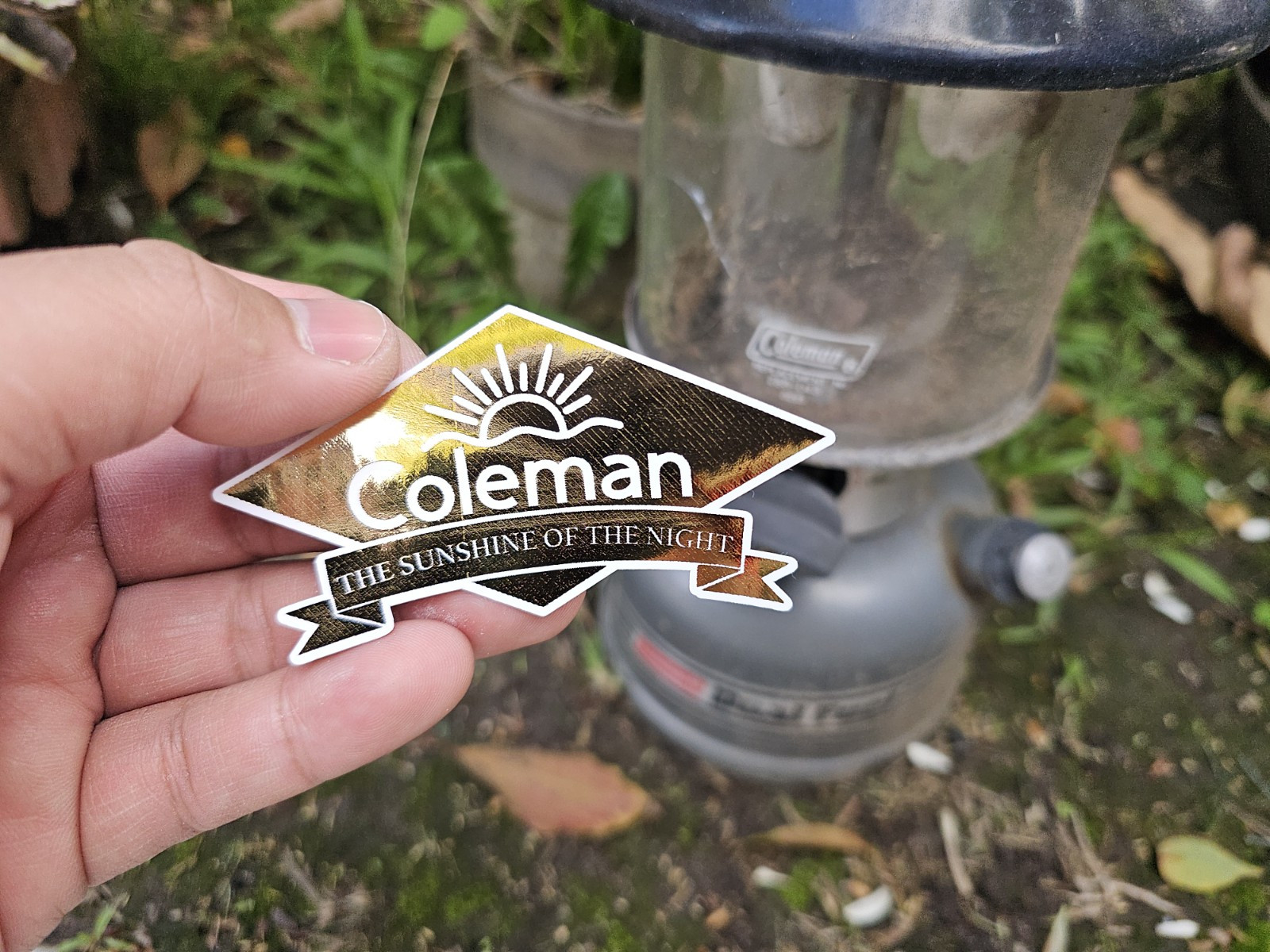 Coleman \