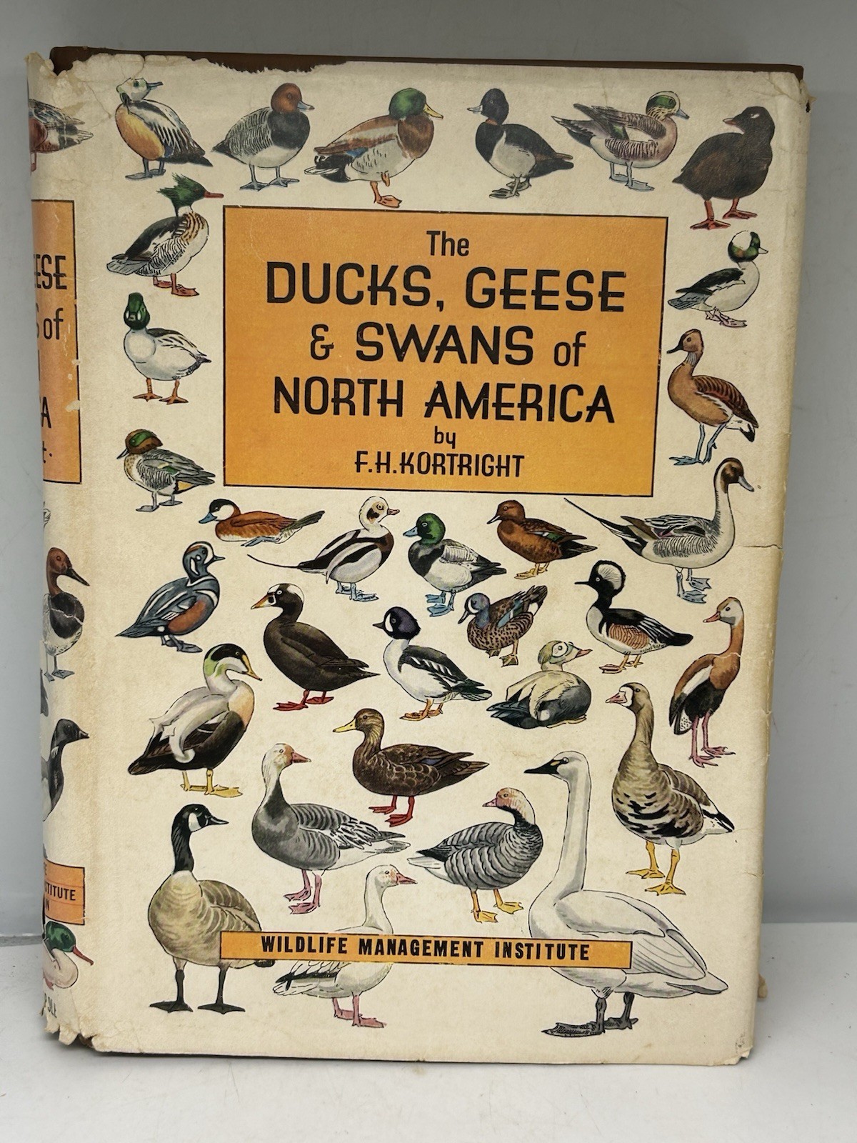 Vintage 1967 Ducks Geese And Swans Of North America Kortright Wildlife DJ HC Vintage 1967 Ducks Geese And Swans Of North America Kortright Wildlife DJ HC