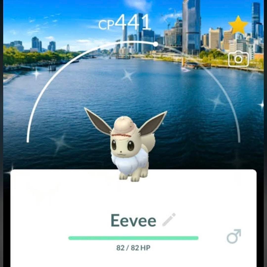 Shiny Eevee Safari Brisbane  2026 ✨Pokemon Go✨