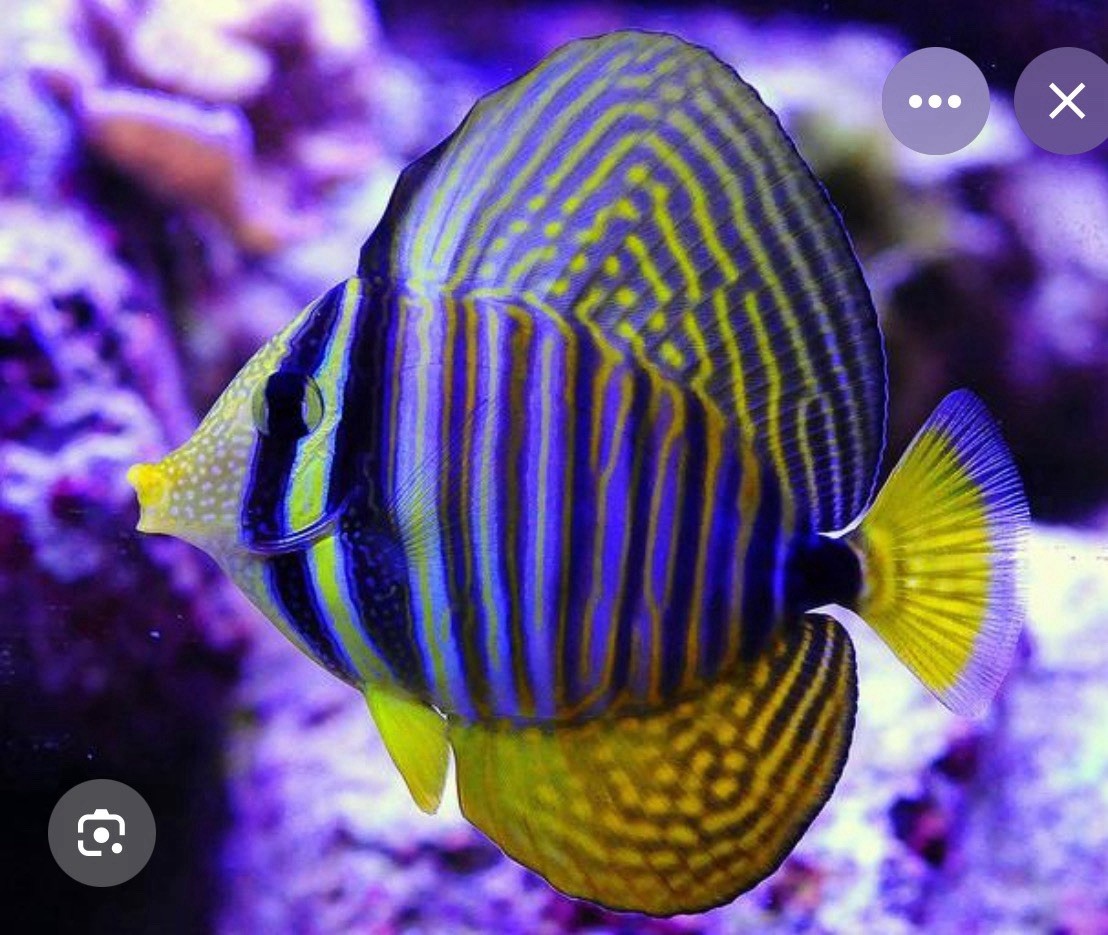 3-3.5 3-3.5