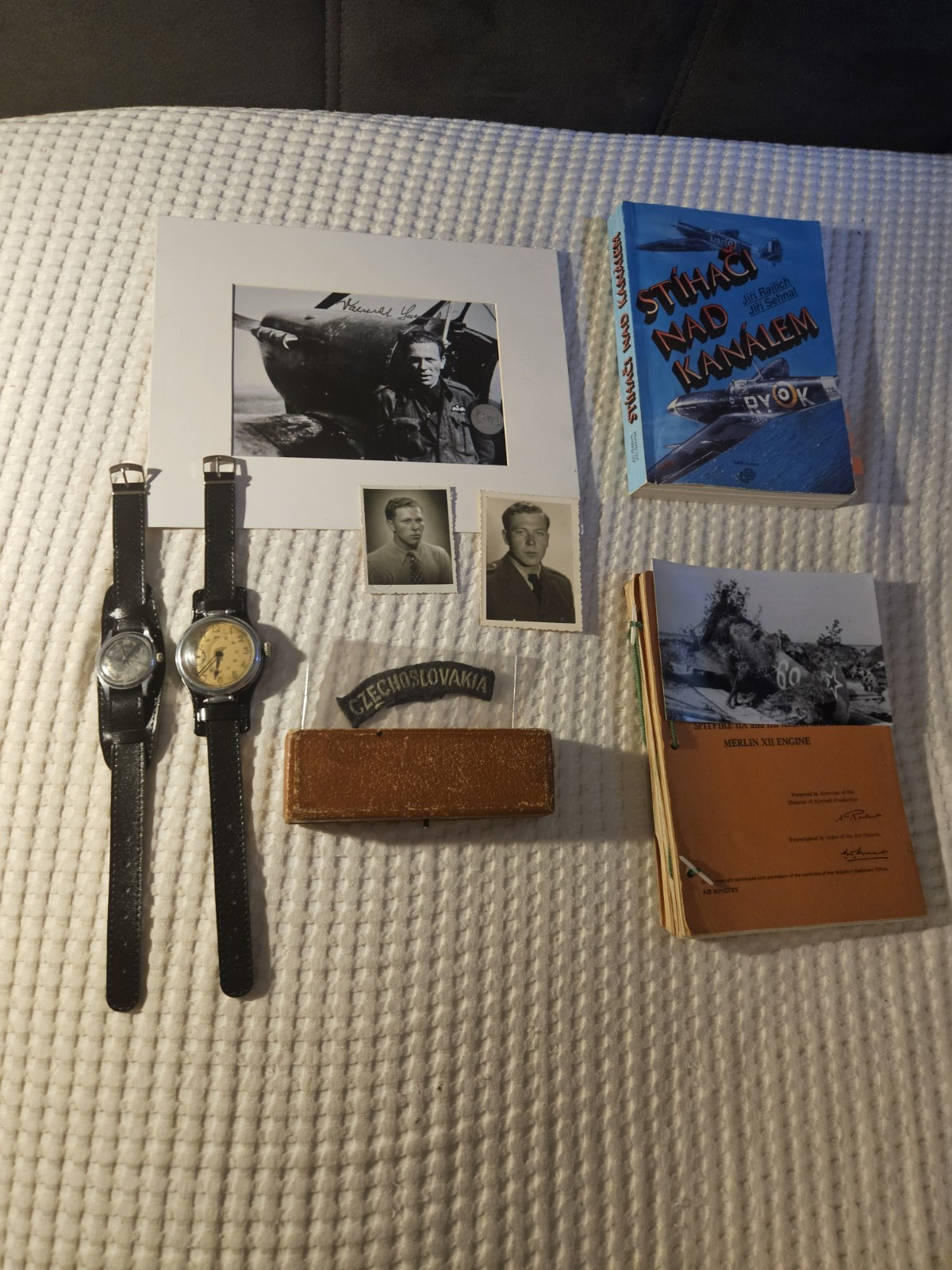 WWII Pilot Valousek RAF 310 / 1st Czech Fighter Regiment Zenith Kirovskie Group
