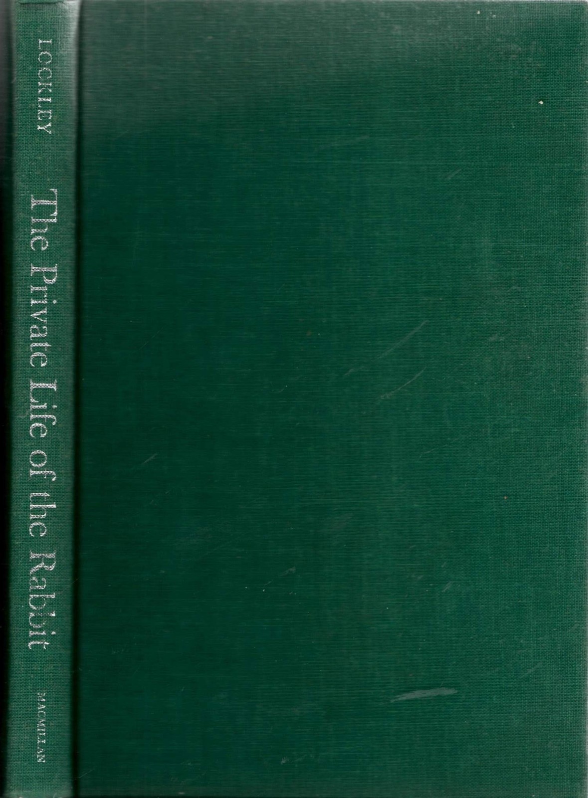 The Private Life of the Rabbit: An Account of the Life History and Social Be...