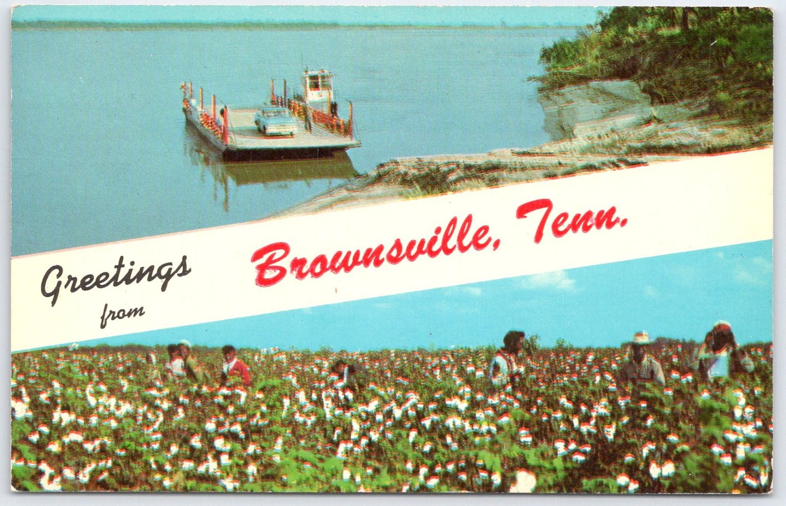 1968 Brownsville Tennessee TN Ferry & Cotton Pickers Curt Teich Vintage Postcard 1968 Brownsville Tennessee TN Ferry & Cotton Pickers Curt Teich Vintage Postcard