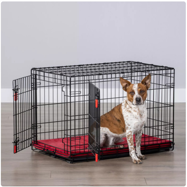 KONG Ultra-Strong Dog Crate Med/Large 36\ KONG Ultra-Strong Dog Crate Med/Large 36\
