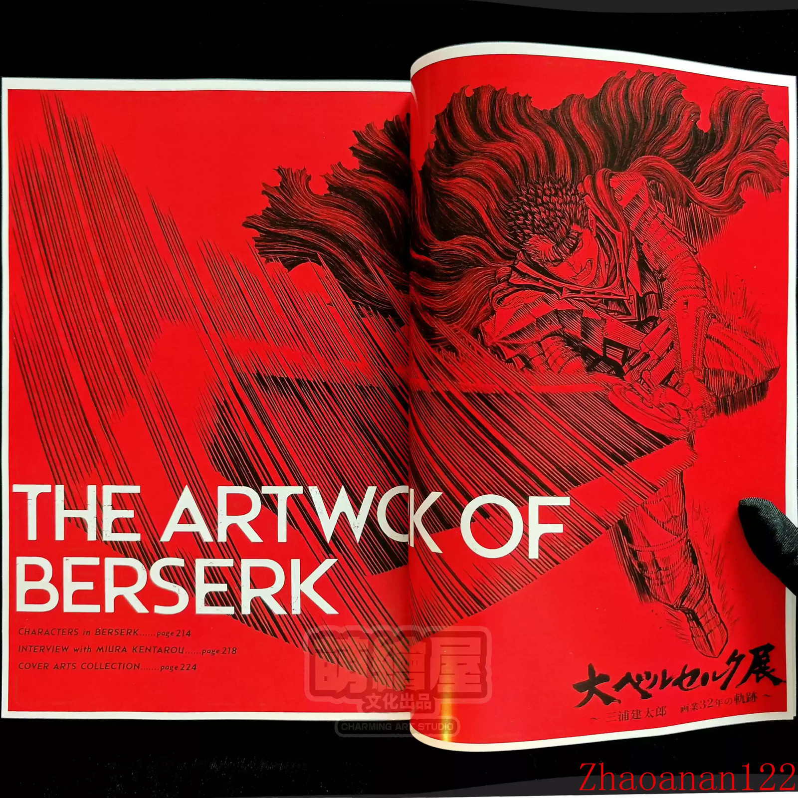 The Artwork of BERSERK Picture Collection DESIGN WORKS Character Illustration The Artwork of BERSERK Picture Collection DESIGN WORKS Character Illustration