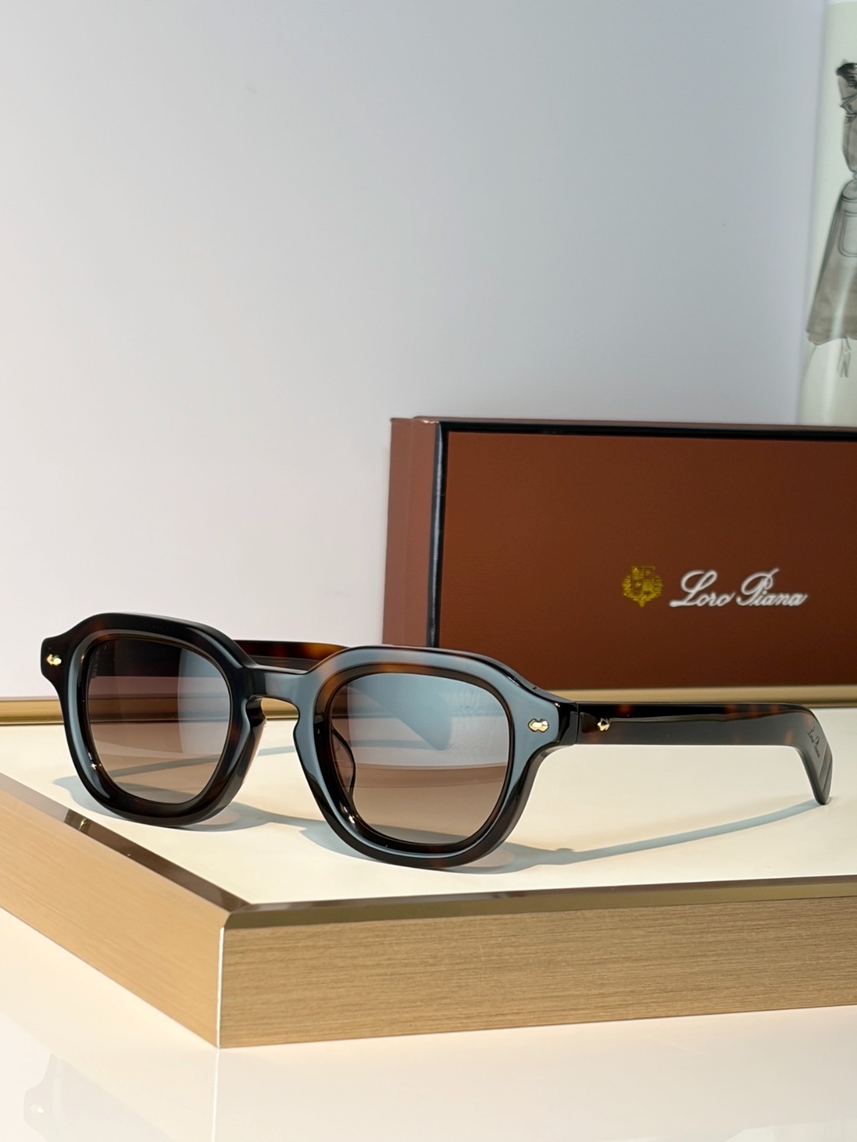 Loro Piana ANDRE Unisex Fashion Sunglasses 47-25-150 Designer Glasses