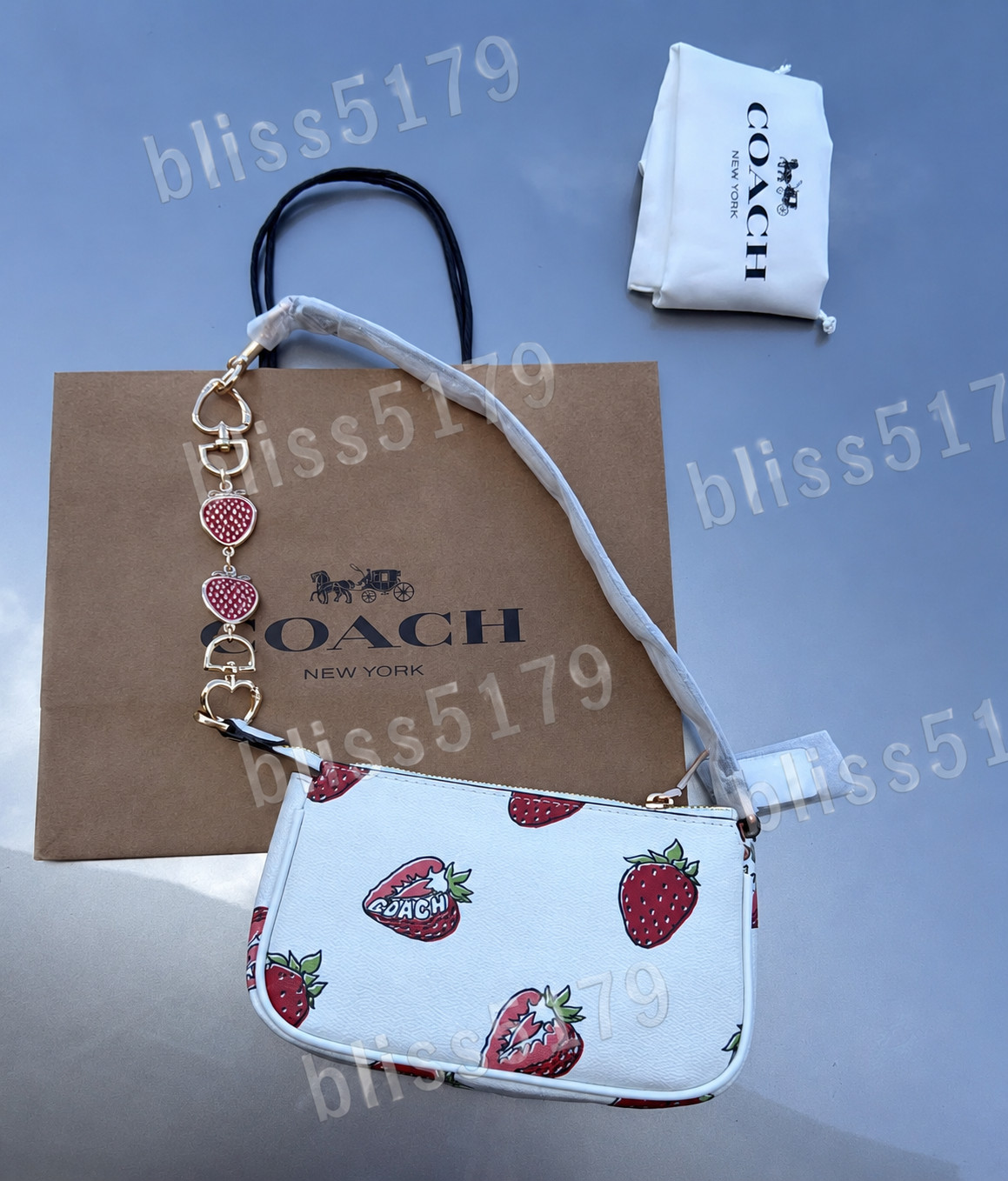 NWT Coach Nolita 19 Leather Shoulder Bag With Strawberry Print CAL25