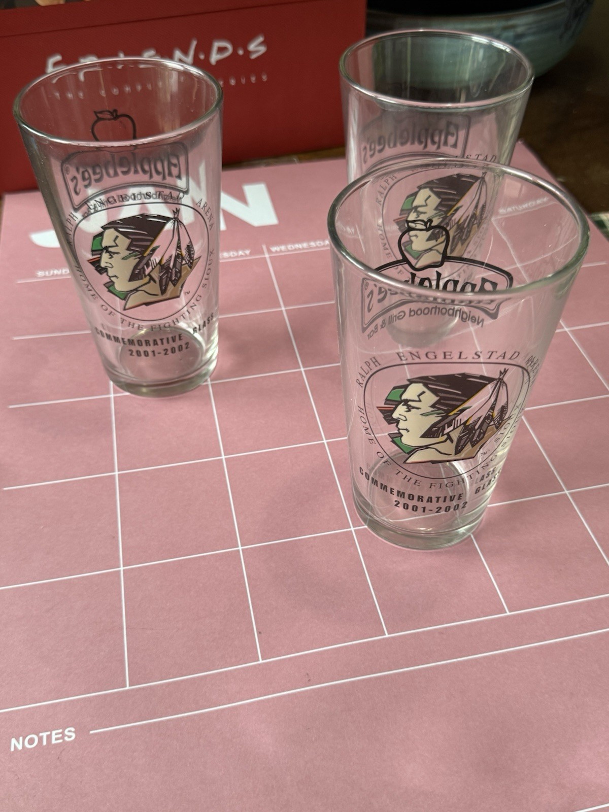 Rare UND Fighting Sioux Engelstad Arena 2001-02 Pint Glass Lot of 3 Applebee's