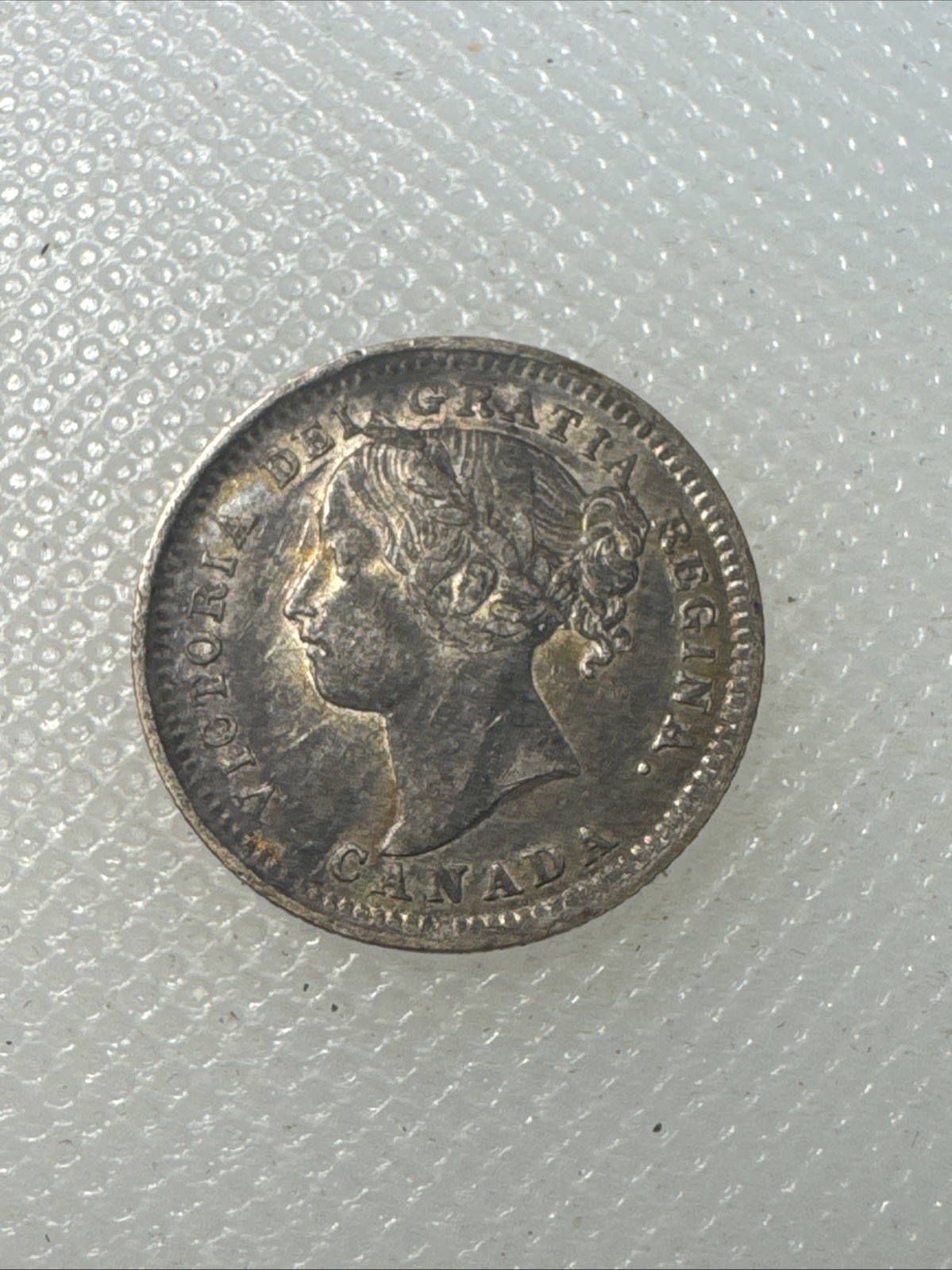 1900 Canada Dime C1 1900 Canada Dime C1