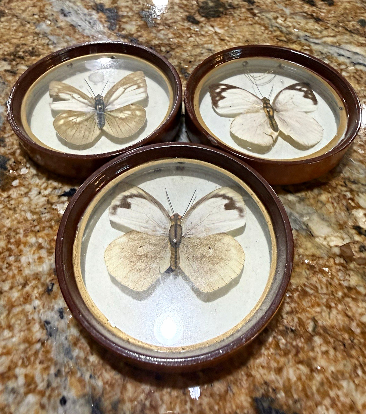 Enesco Vintage/Retro Butterfly Round Wood Wall Hanging Set, 3-Piece Marked Enesco Vintage/Retro Butterfly Round Wood Wall Hanging Set, 3-Piece Marked