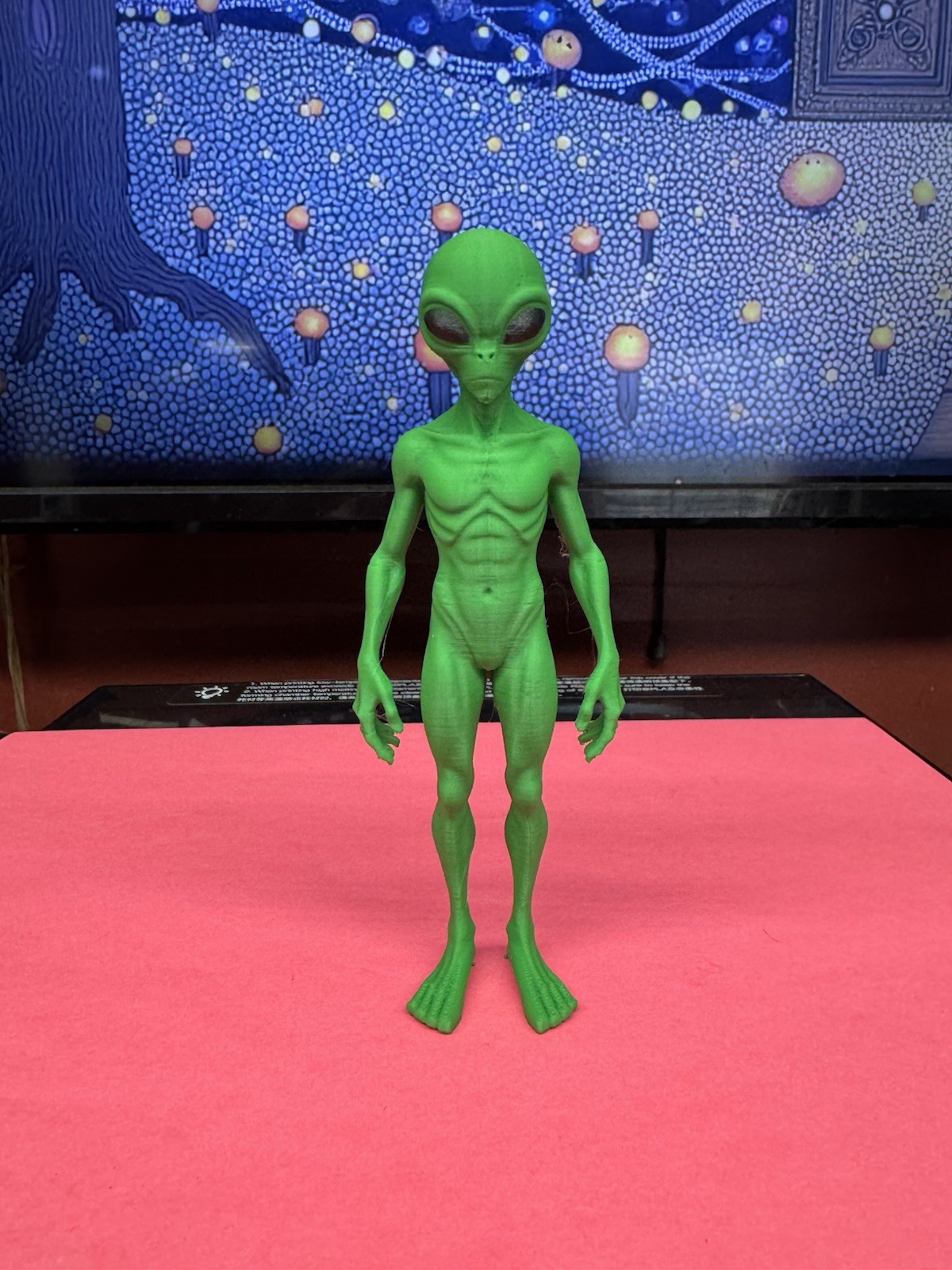 Alien Action Figure 5” Tall NEW SPECIES Alien Action Figure 5” Tall NEW SPECIES