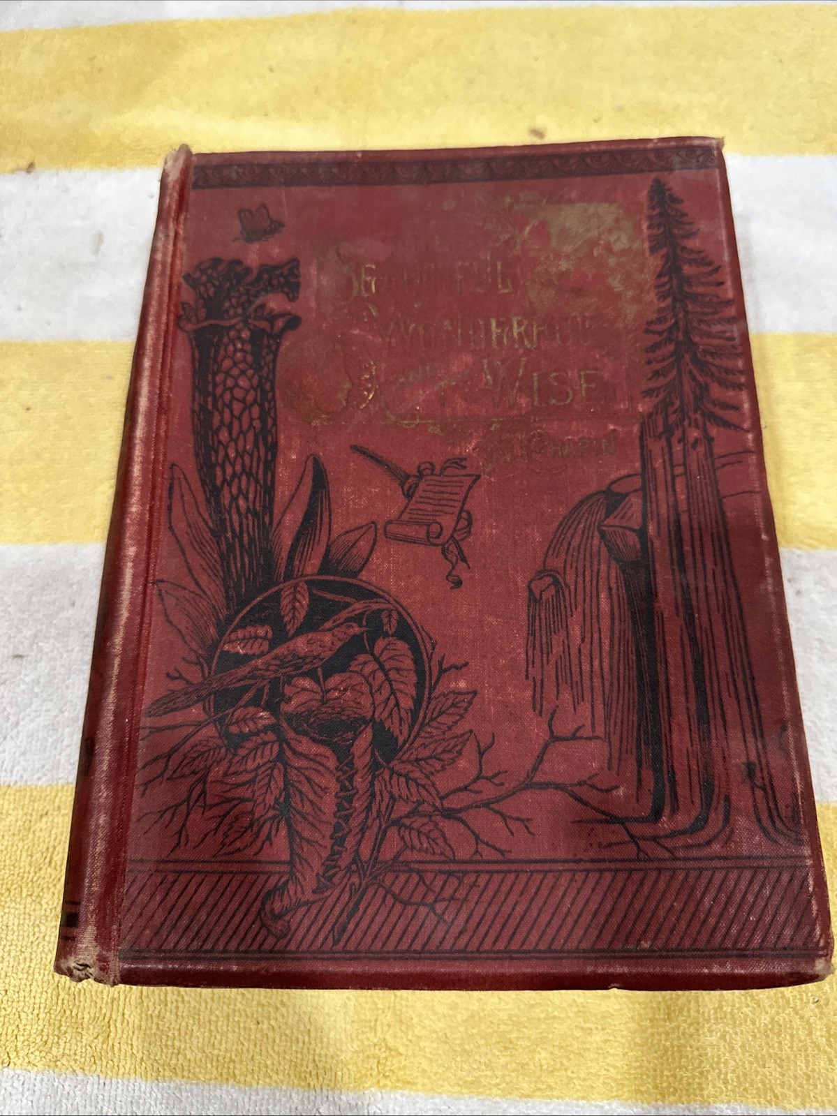 The Beautiful The Wonderful And The Wise By L. N. Chapin 1890 Vintage HC Book The Beautiful The Wonderful And The Wise By L. N. Chapin 1890 Vintage HC Book