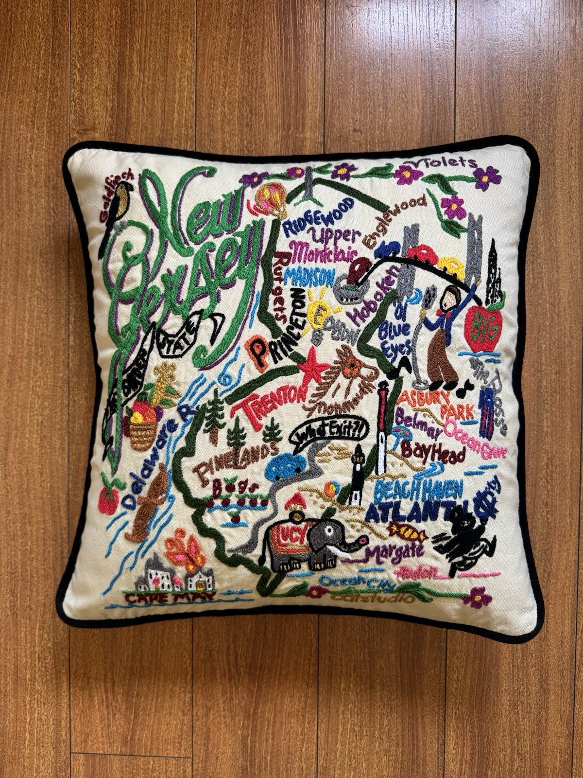 RARE Catstudio NEW JERSEY Geography Throw Pillow 18\