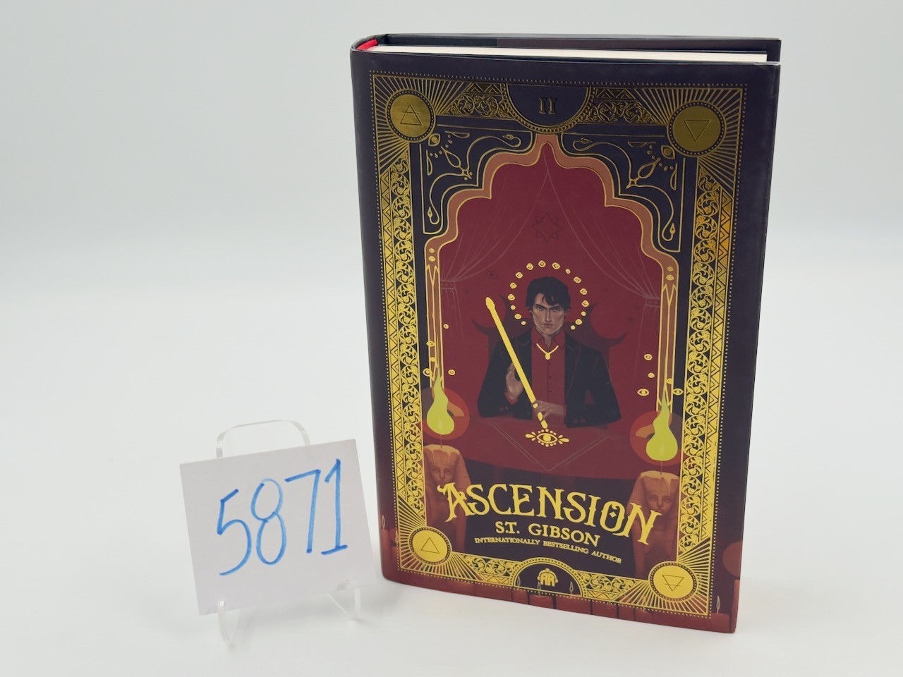 Ascension, S.T. Gibson HC DJ Angry Robot 2025 Ascension, S.T. Gibson HC DJ Angry Robot 2025