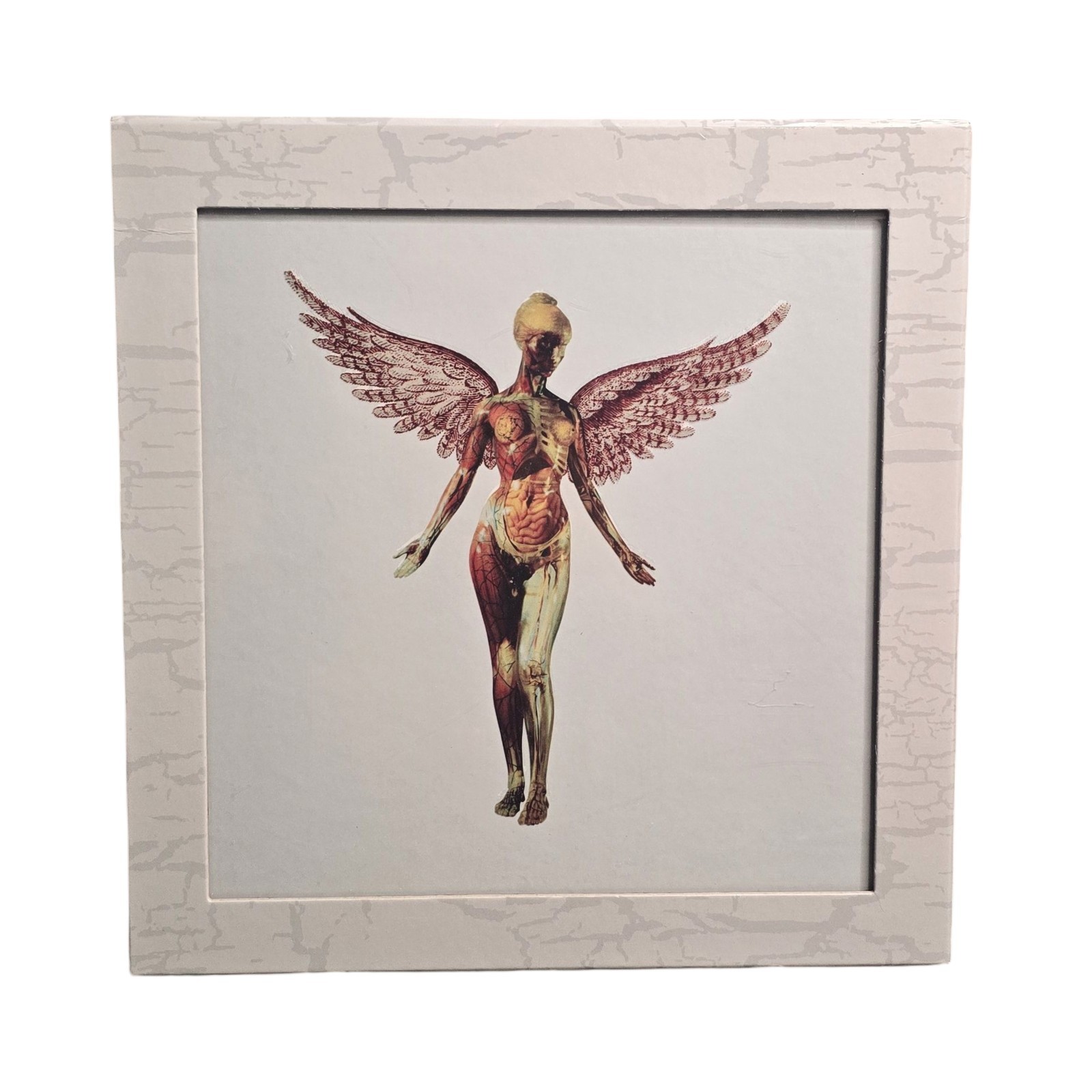 Nirvana - In Utero 5 CD Box Set - Deluxe 30th Anniversary Edition Nirvana - In Utero 5 CD Box Set - Deluxe 30th Anniversary Edition