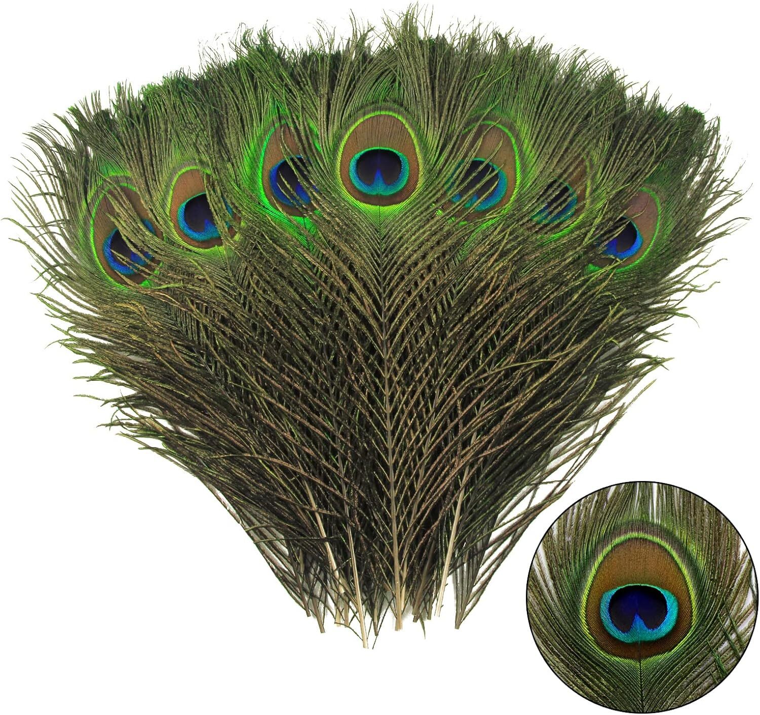 THARAHT 12pcs Peacock Feather Natural in Bulk 10-12Inch-Big Eyes-12PCS, Green 