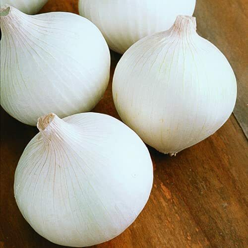 White Sweet Spanish Onion Seeds | Heirloom / Non-GMO |  | 1068