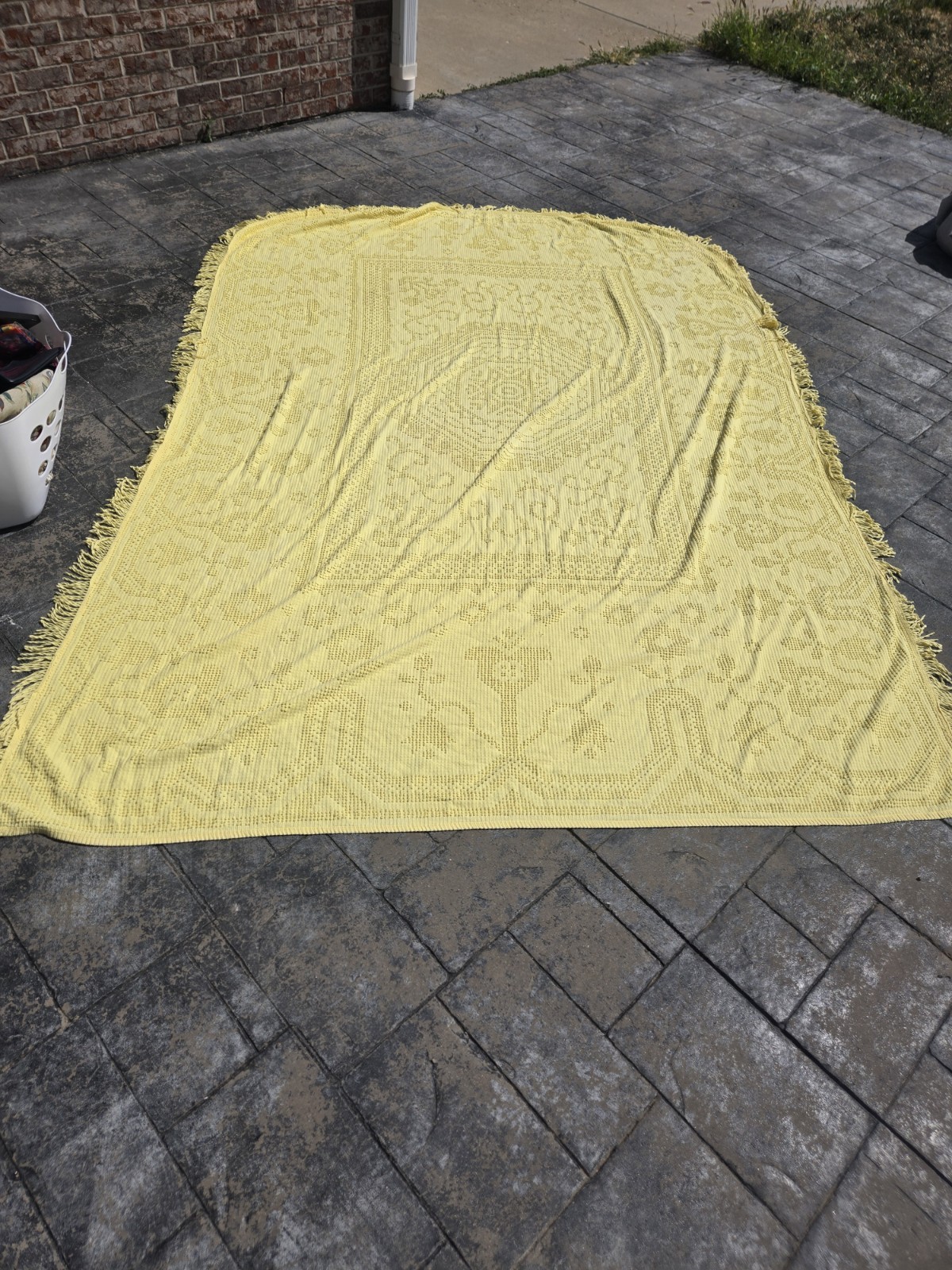 Vtg MCM Hobnail Chenille Sunny Yellow Twin - Double Bedspread w Fringe EUC Vtg MCM Hobnail Chenille Sunny Yellow Twin - Double Bedspread w Fringe EUC