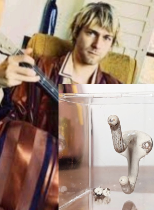 Kurt Cobain Closet Wall Coat Hanger In Utero House COA Nirvana RARE Kurt Cobain Closet Wall Coat Hanger In Utero House COA Nirvana RARE