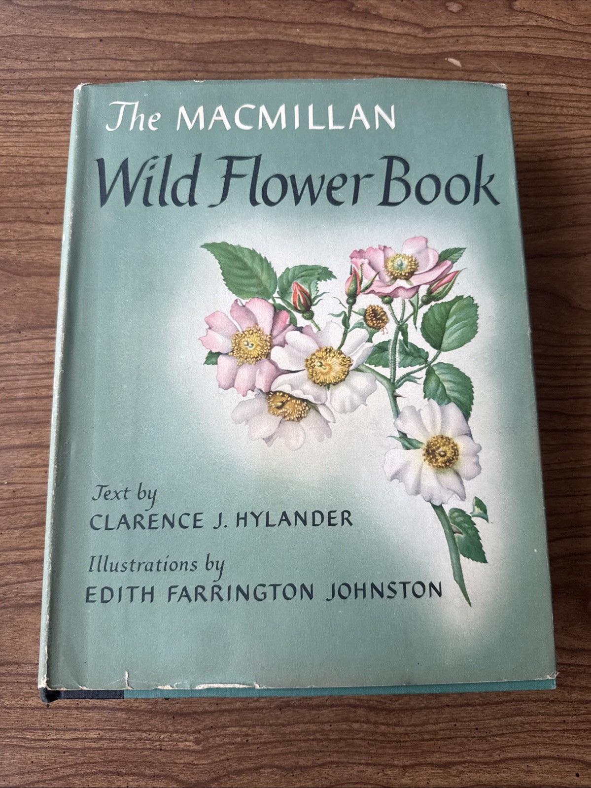 The Macmillan Wild Flower Book Hylander 1954 HC DJ Illustrated First ED/Print The Macmillan Wild Flower Book Hylander 1954 HC DJ Illustrated First ED/Print