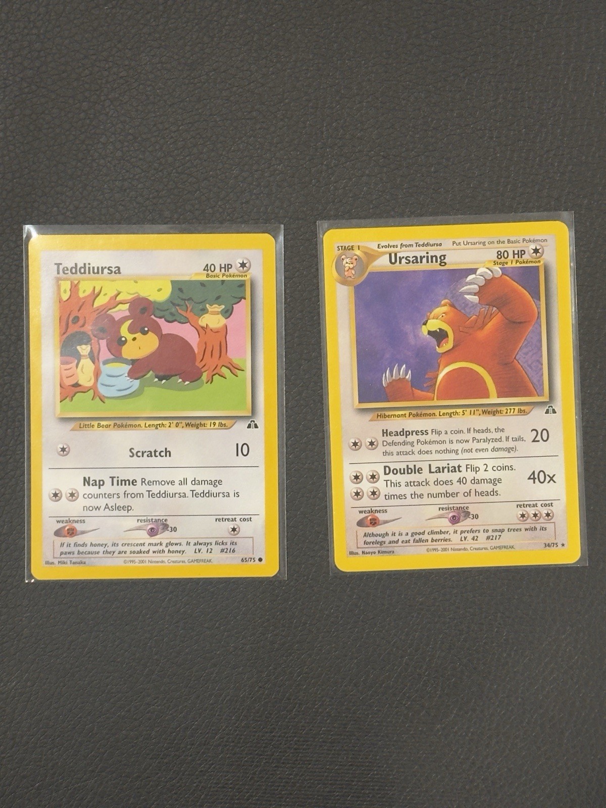 Pokemon Ursaring Non-Holo Rare 34/75 Teddiursa 65/75 Neo Discovery WOTC 2001 NM
