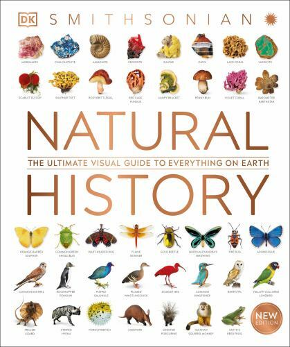 Natural History (DK Definitive Visual Encyclopedias) by DK Natural History (DK Definitive Visual Encyclopedias) by DK