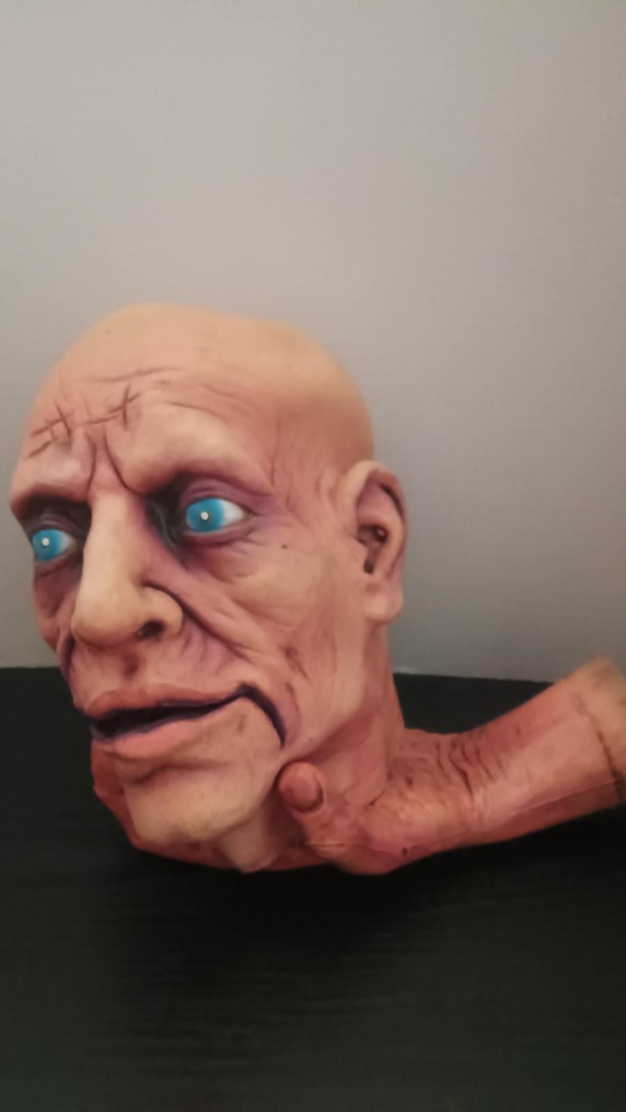 Severed Head Halloween Prop Held by Severed Hand Severed Head Halloween Prop Held by Severed Hand