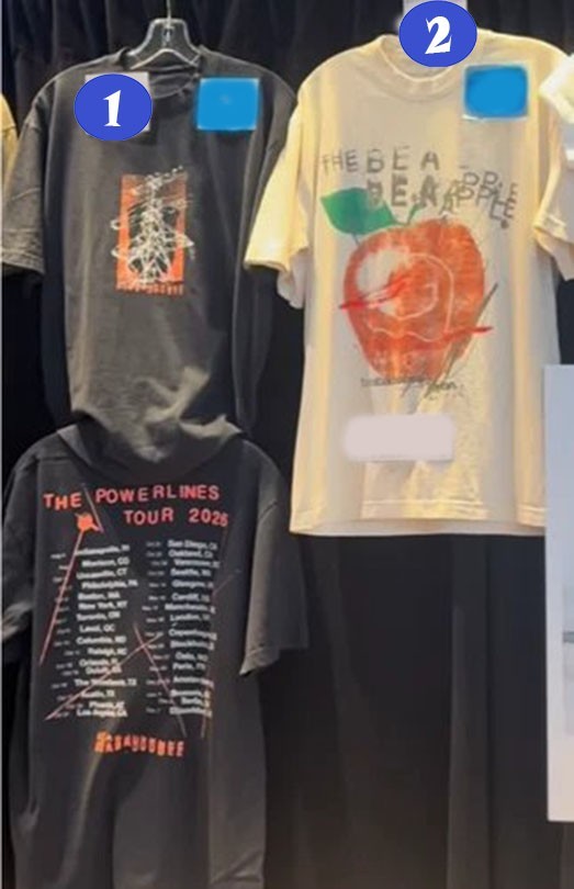 Beabadoobee Shirt The Powerlines Tour 2026 Charcoal Grey Concert Merch Reprint
