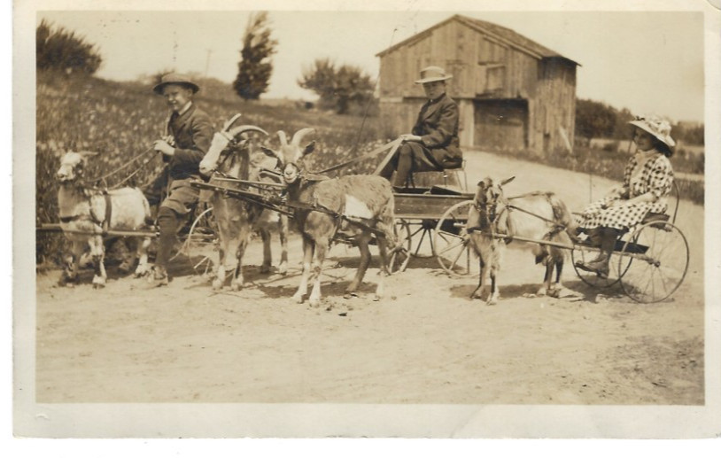 1913 RPPC Goat Cart Procession Postcard Corfu Cowlesville NY Vintage Americana