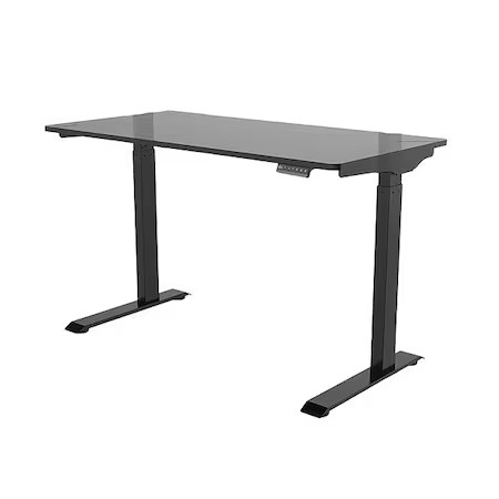 Flexispot E9b Adj. Standing Desk, Black, 110 Lb Cap.