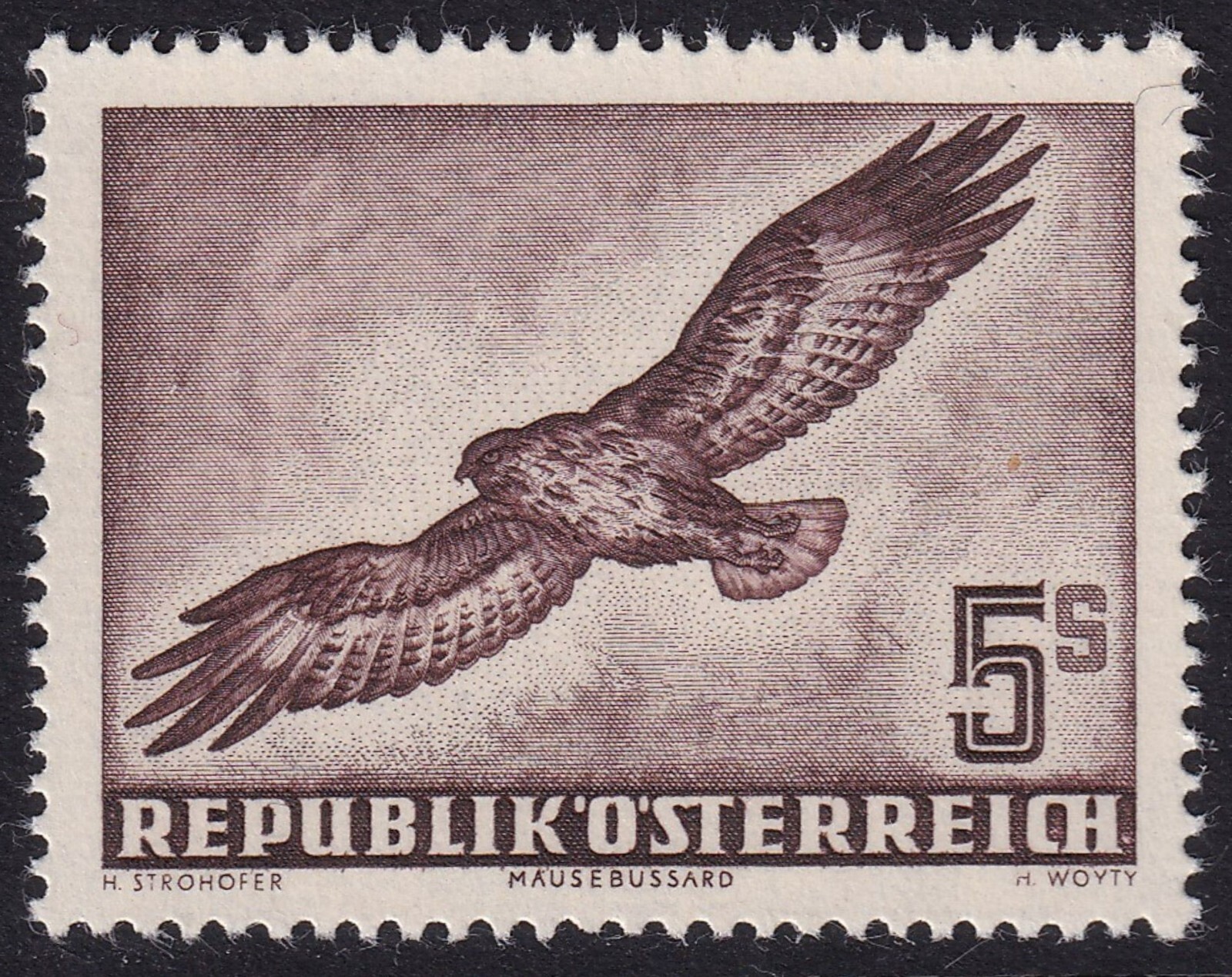 AUSTRIA 1950-53 Air Birds 5s Common Buzzard SG 1219 MNH/** (CV £190) AUSTRIA 1950-53 Air Birds 5s Common Buzzard SG 1219 MNH/** (CV £190)
